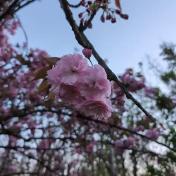 Parco della Resistenza - Domodossola