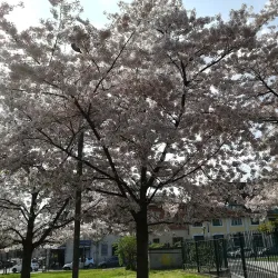 Parco della Resistenza - Domodossola