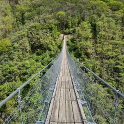 Ponte Tibetano Carasc - Domodossola