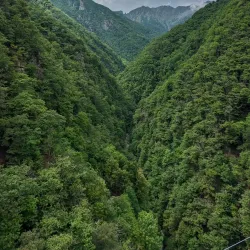 Ponte Tibetano Carasc - Domodossola