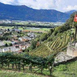 Ponte Tibetano Carasc - Domodossola