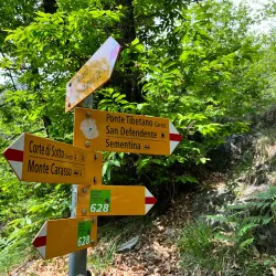 Ponte Tibetano Carasc - Domodossola