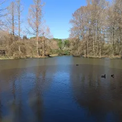 Parco Bucci - Faenza