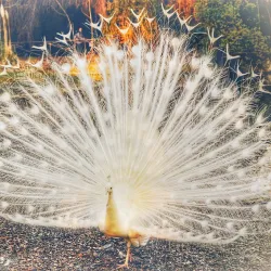 Parco Bucci - Faenza