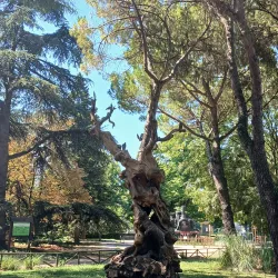 Parco Bucci - Faenza