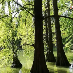 Parco Bucci - Faenza