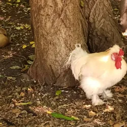 Parco Bucci - Faenza