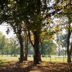 Parco San Francesco - Fermo