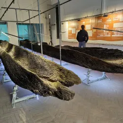 Museo Archeologico Nazionale di Ferrara - Ferrara