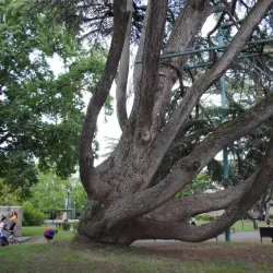 Parco Massari - Ferrara
