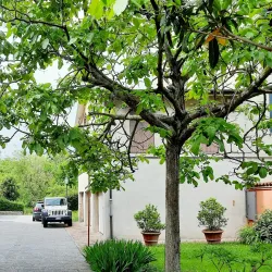 Palazzo Comunale - Finale Emilia