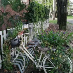 Parco delle Rimembranze - Finale Emilia