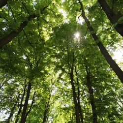 Parco delle Rimembranze - Finale Emilia