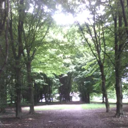 Villa Bianchini - Finale Emilia