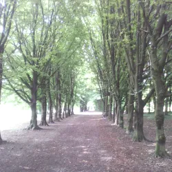 Villa Bianchini - Finale Emilia