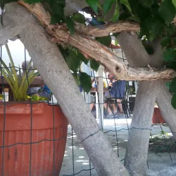 Grotte di Borgio Verezzi - Finale Ligure