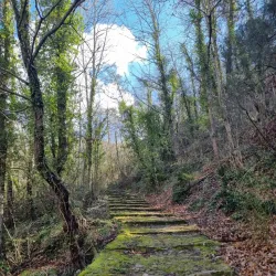 Santuario di Nostra Signora di Montalto - Finale Ligure