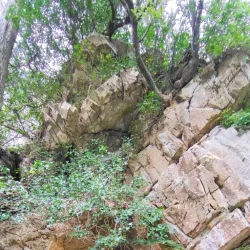 Santuario di Nostra Signora di Montalto - Finale Ligure