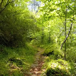 Santuario di Nostra Signora di Montalto - Finale Ligure