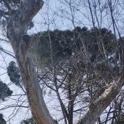 Parco dei Canapè - Foligno