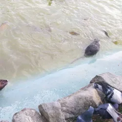 Parco Urbano Franco Agosto - Forli