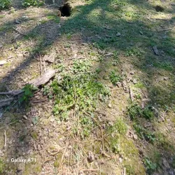 Parco Urbano Franco Agosto - Forli