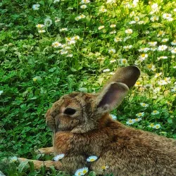 Parco Urbano Franco Agosto - Forli