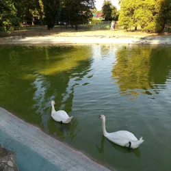 Parco Urbano Franco Agosto - Forli