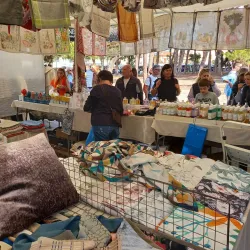 Mercato Settimanale di Forte dei Marmi - Forte dei Marmi