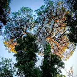 Parco della Versiliana - Forte dei Marmi
