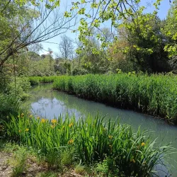 Parco della Versiliana - Forte dei Marmi