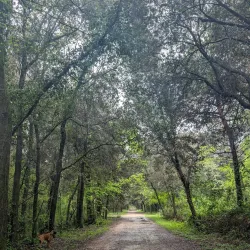 Parco della Versiliana - Forte dei Marmi