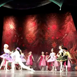 Teatro Nestor - Frosinone