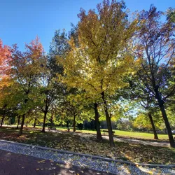 Villa Comunale di Frosinone - Frosinone