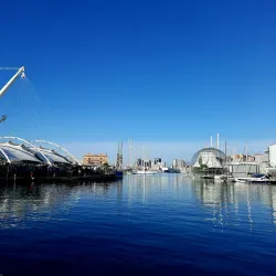 Aquarium of Genoa - Genoa