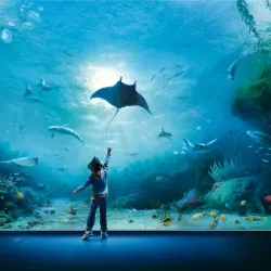 Aquarium of Genoa - Genoa