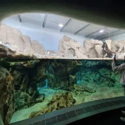 Aquarium of Genoa - Genoa