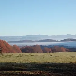 Parco Regionale dei Castelli Romani - Genzano di Roma