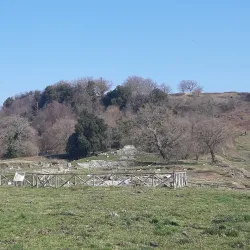 Parco Regionale dei Castelli Romani - Genzano di Roma