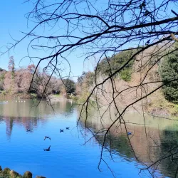 Villa Doria Pamphili - Genzano di Roma