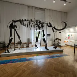 Slovenian National Museum - Gorizia Branch - Gorizia