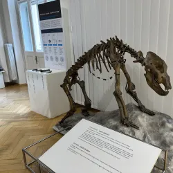 Slovenian National Museum - Gorizia Branch - Gorizia