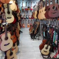 Cittadella della Musica - Grosseto