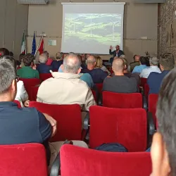 Palazzo Aldobrandeschi - Grosseto