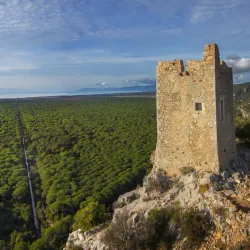 Parco Naturale della Maremma - Grosseto