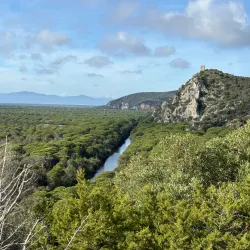 Parco Naturale della Maremma - Grosseto