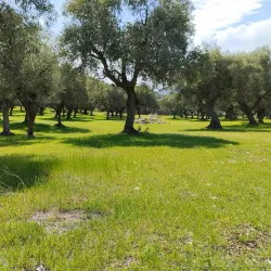 Parco Naturale della Maremma - Grosseto