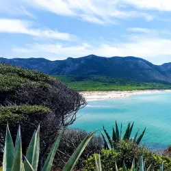 Spiaggia di Portixeddu - Iglesias