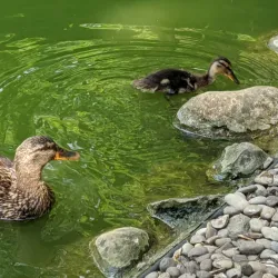Parco delle Acque Minerali - Imola