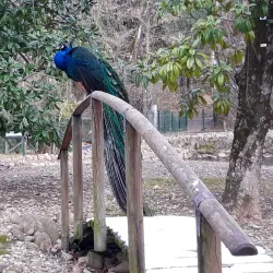 Parco delle Acque Minerali - Imola